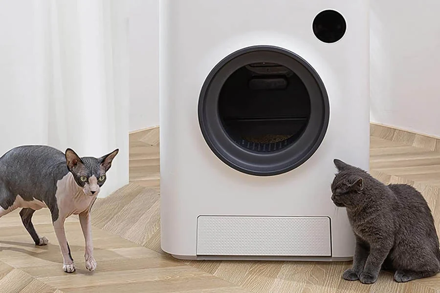 large litter box for multiple cats
