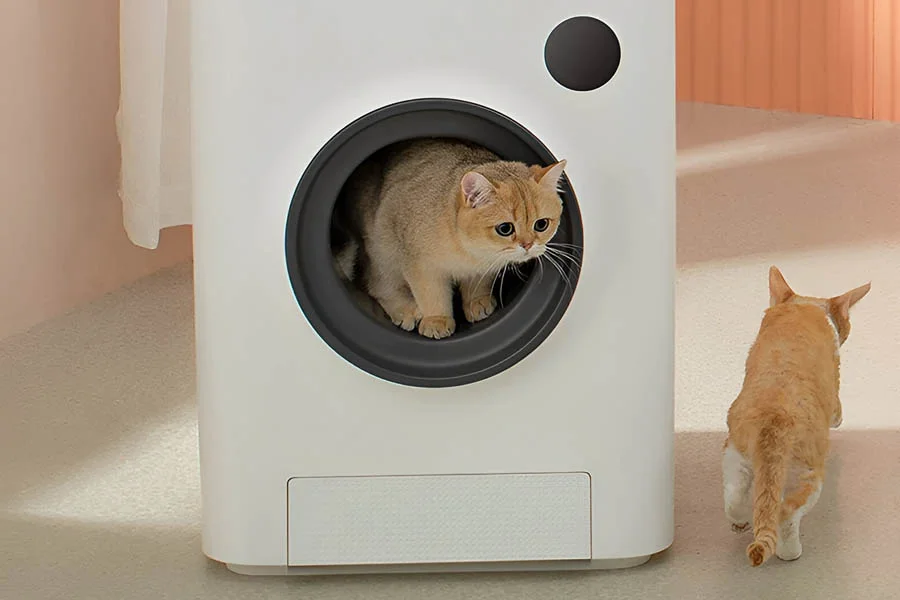self clean cat litter box